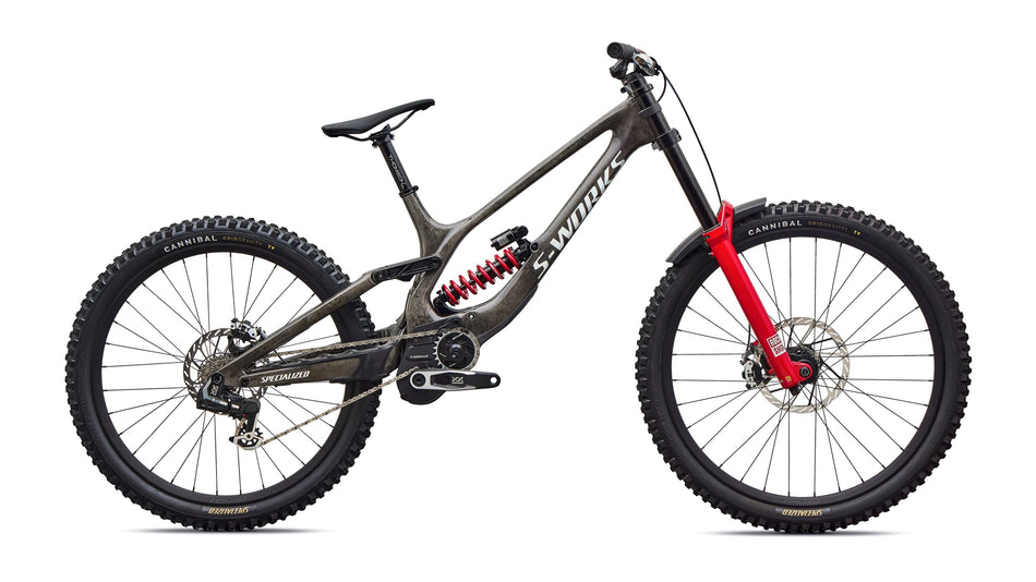 Specialized S-Works Demo 11