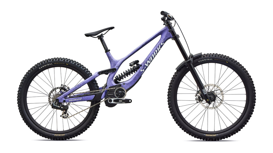 Specialized S-Works Demo 11